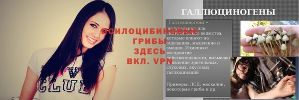 винт Алексин