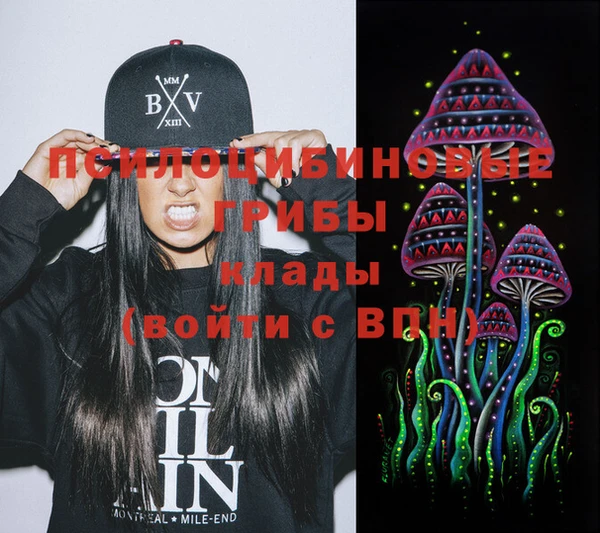 винт Алексин