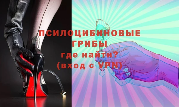 соль ск Абаза